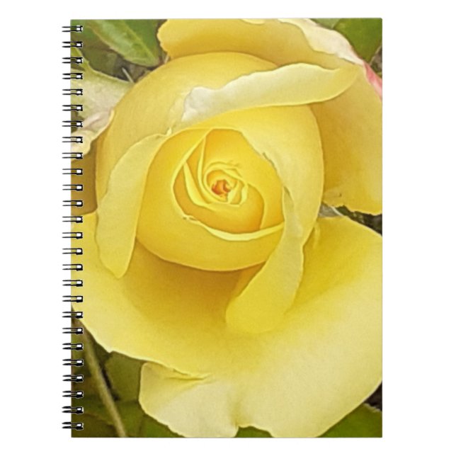Carnet spiral de Rosebud jaune (Devant)