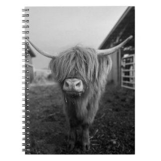 Carnet spiral de vache de Highland