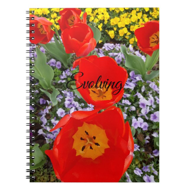 Carnet spiral des tulipes rouges en évolution (Devant)