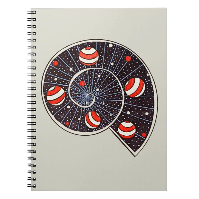 Carnet Spiral Galaxy Beach Ball Planètes Astronomie amusa (Devant)