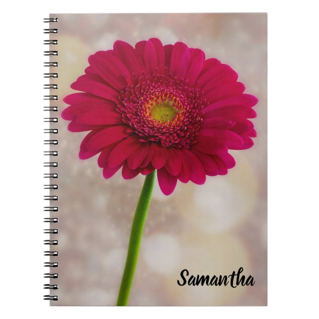 Carnet spiral Gerbera rose chaud unique (Devant)