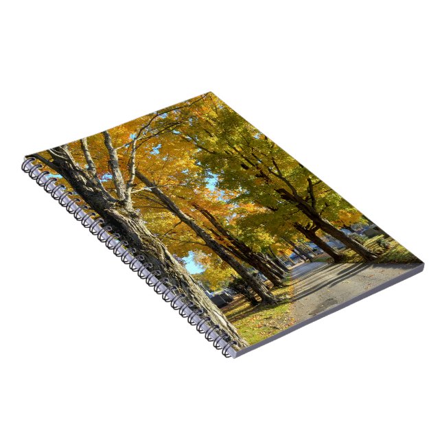 Carnet spiral jaune d'automne (Côté Droit)