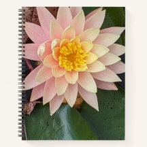 Carnet Spiral Lily D'Eau