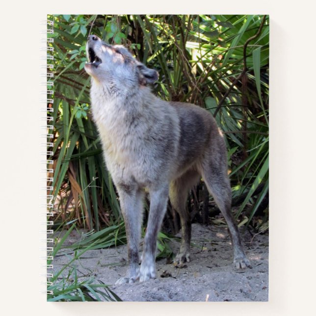 Carnet spiral loup hurlant (Devant)