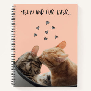 Carnet Spiral, Meow et Fourrure