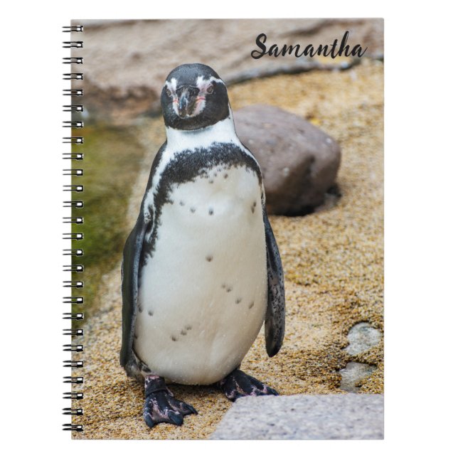 Carnet spiral mignon Humboldt Penguin (Devant)