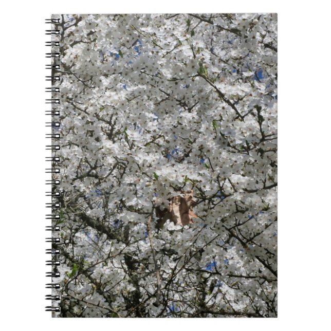 Carnet Spiral Mirabelle Blossom (Devant)