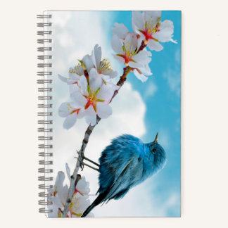 Carnet Spiral Notebook