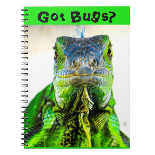 Carnet Spiral Notebook Iguana Écrire?