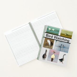 Carnet Spiral - Observation d'oiseaux
