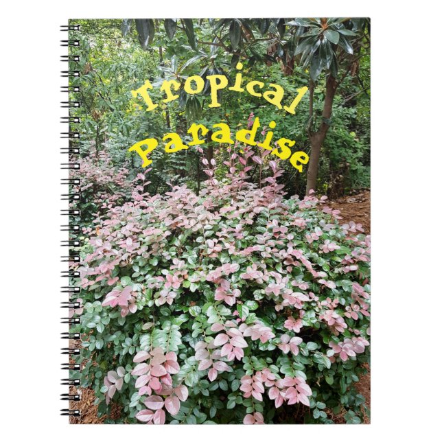 Carnet Spiral Paradis Tropical (Devant)