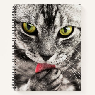 Carnet spiral près du chat