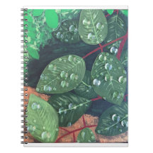 carnet Spiral "Raindrops"