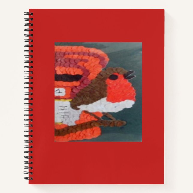 Carnet spiral Robin Dotty (Devant)