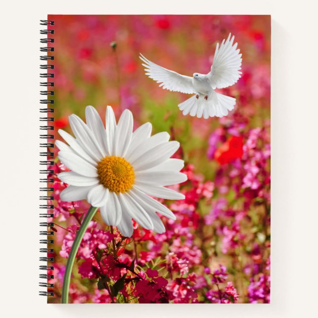 Carnet spiral rose Floral blanc Dove Daisy (Devant)