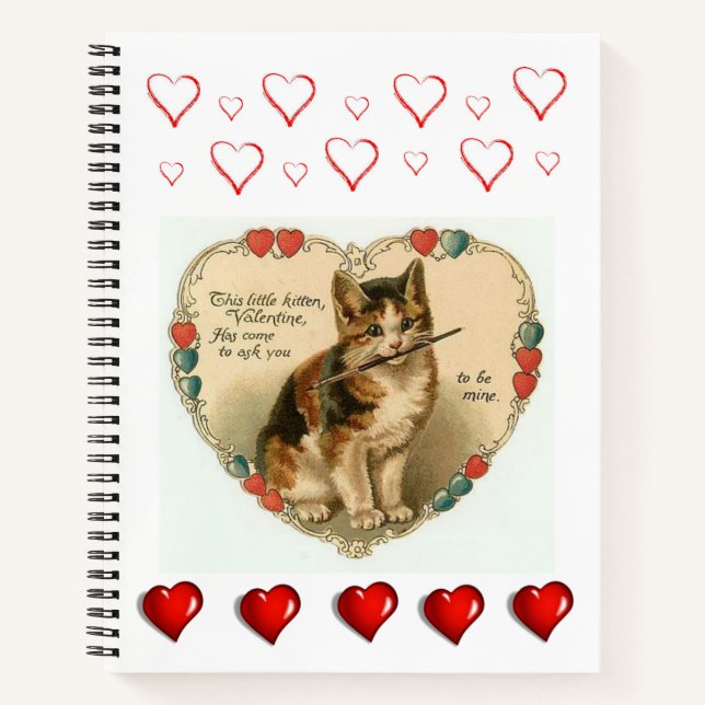 Carnet Spiral Saint Valentin (Devant)