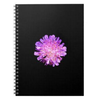 Carnet Spiral Scabious Field