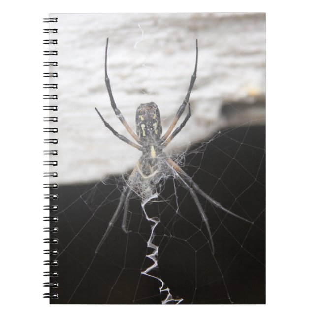 Carnet Spiral Spider (Devant)