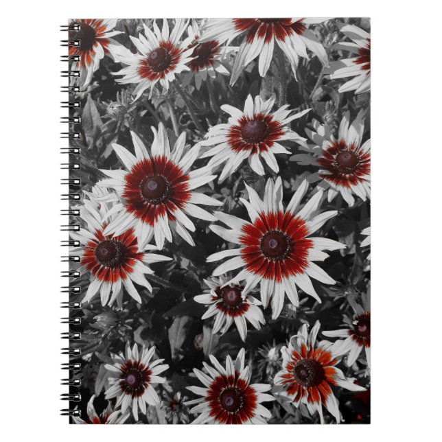 Carnet Spiral Superbe Susans À Oeil Noir (Devant)