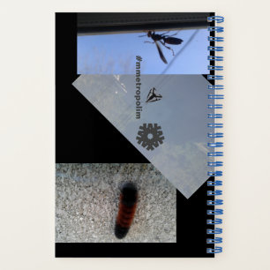 Carnet spirale/INSECTES/MÉTROPOLIME CONCEPTION Not