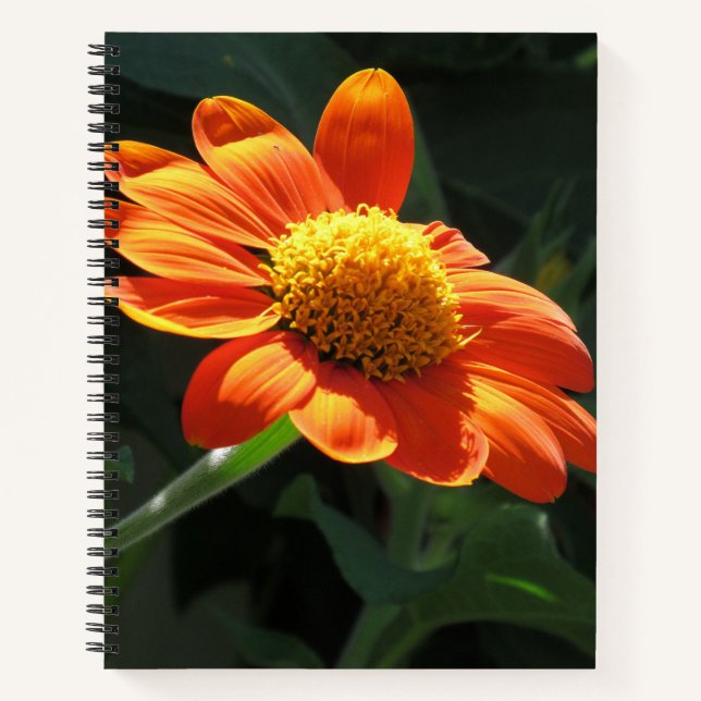 Carnet spirale tournesol mexicain - 8,5 x 11, 8,5 (Devant)