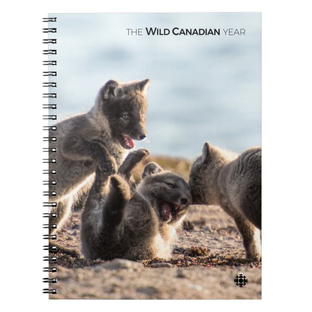 Carnet Spring - Arctic Fox (Devant)