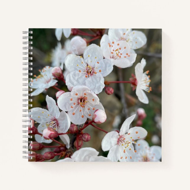Carnet Spring blossom (Devant)
