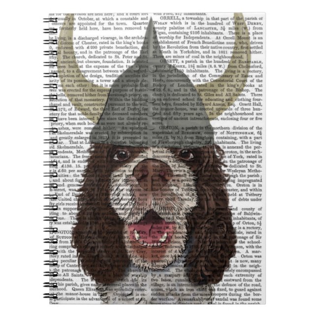 Carnet Springer Spaniel Viking (Devant)
