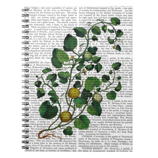 Carnet Squash Vine 4 (Devant)