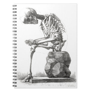 Carnet Squelette assis anatomie Illustrisation