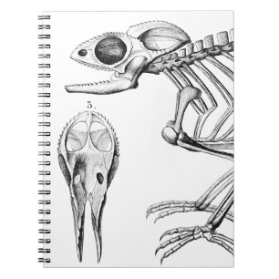 Carnet squelette de lézard vintage