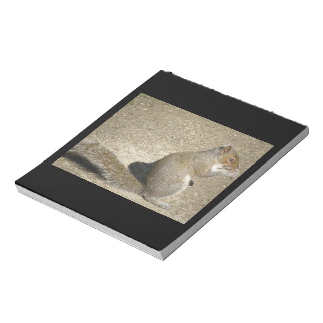 Carnet Squirrel Hungry Horatio (Tourné)