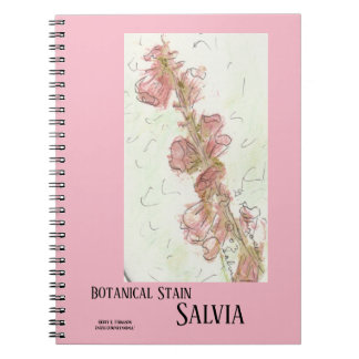 CARNET STAINE BOTANIQUE SALVIA