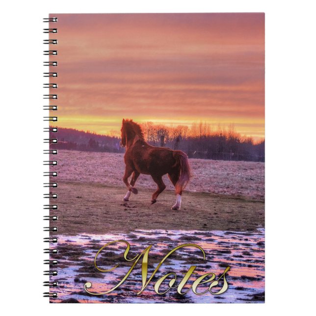Carnet Stallion Running Home at Sunset on Ranch (Devant)