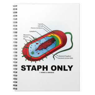 Carnet Staph Uniquement (Bacterium Diagram Prokaryote Bac