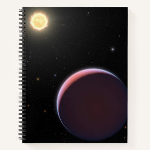 Carnet Star Kepler 51 et Trois planètes géantes comme le 