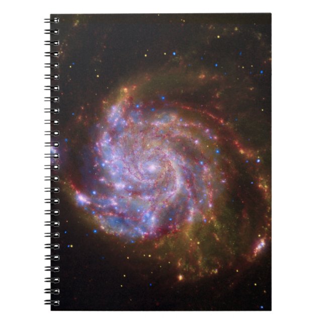 Carnet Starbirth in the Pinwheel : Galaxy M101 (Devant)
