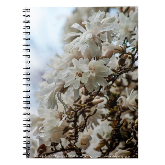 Carnet Starry Magnolia 5781 (Devant)