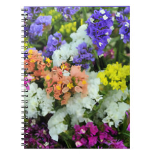 Carnet Statice colorée