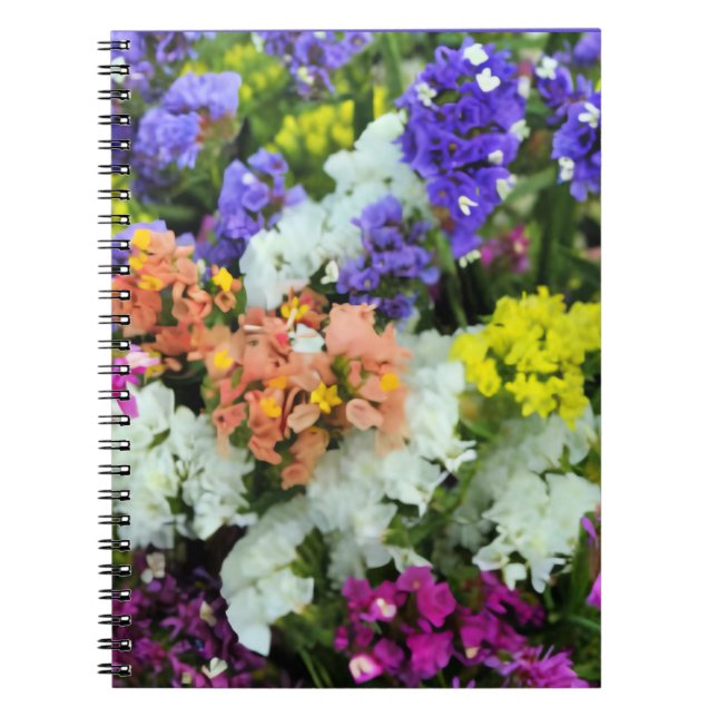 Carnet Statice colorée (Devant)