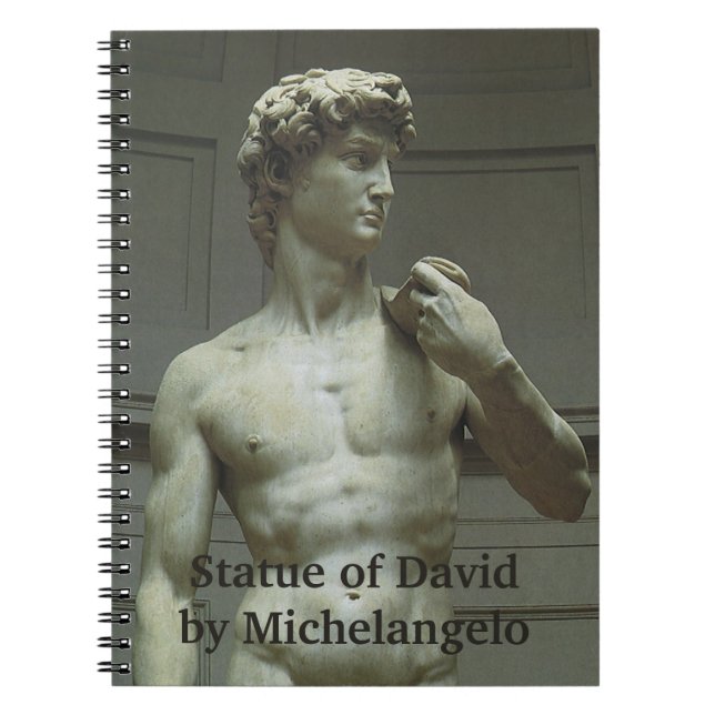 Carnet Statue de David de Michel-Ange (Devant)