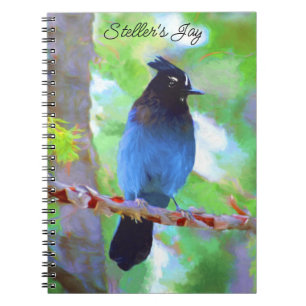 Carnet Steller's Jay Painting - Art original pour oiseaux