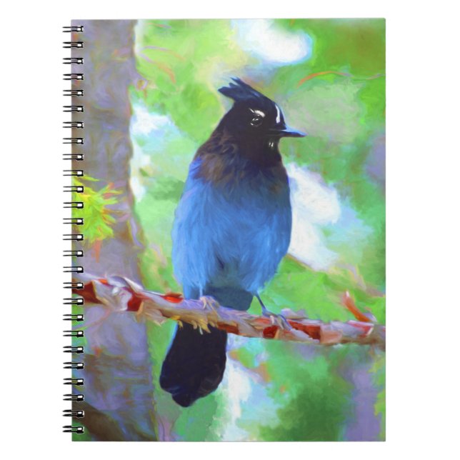 Carnet Steller's Jay Painting - Art original pour oiseaux (Devant)