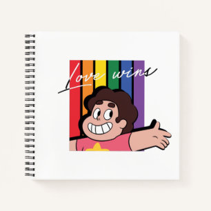 Carnet Steven Universe - L'amour gagne