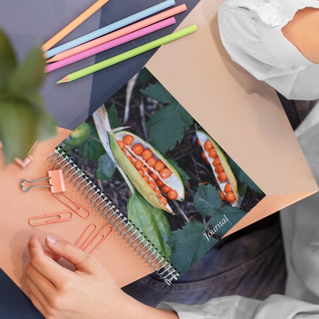 Carnet Stiner Iris Seed Pod Photo (In Situ)