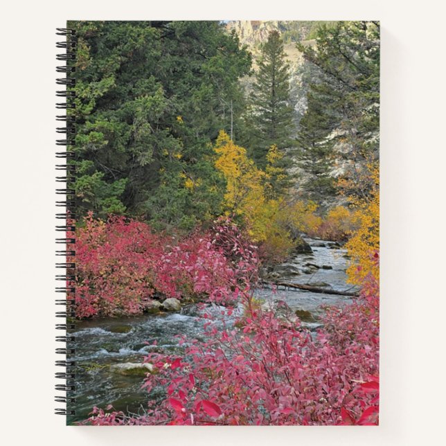 Carnet Stream Blooms Spiral Notebook (Devant)