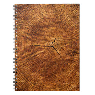 Carnet Structure annuelle de la texture des arbres des an