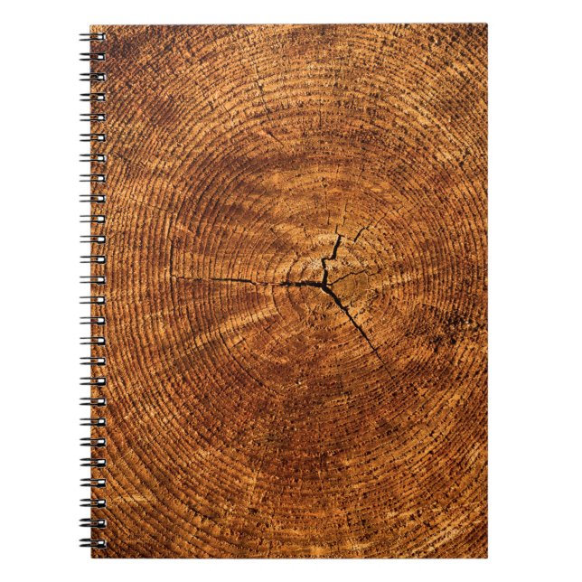 Carnet Structure annuelle de la texture des arbres des an (Devant)