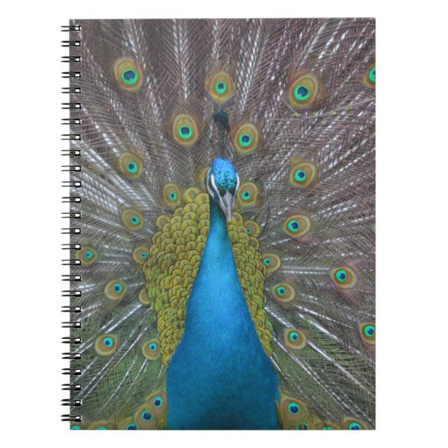 Carnet Stunning (Devant)