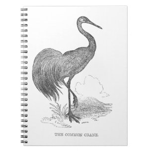 Carnet Stylo d'oiseaux de grue vintage et dessin d'encre